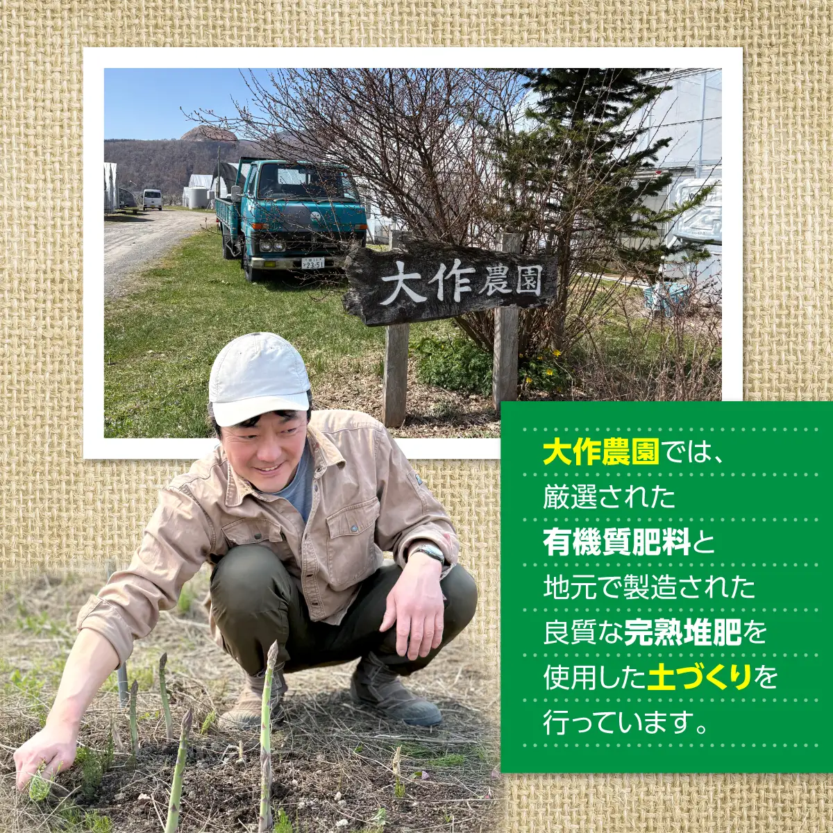 ＜2027年4月上旬よりお届け＞【朝採り】北海道壮瞥町産　春採りグリーンアスパラM～LL混合　約800g SBTR005