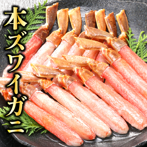 本ズワイガニのポーション(500g)(約2人前) 北海道 蟹 カニ