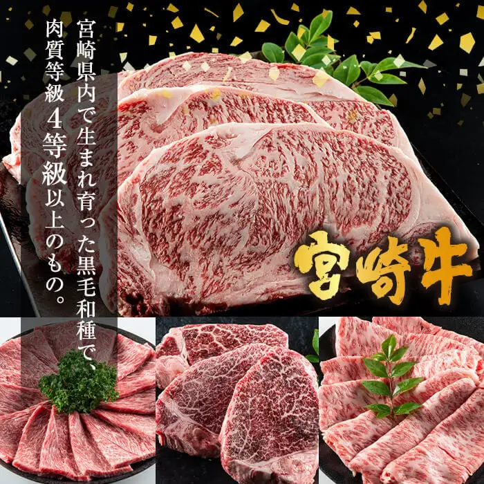 宮崎牛ステーキ(ロース・モモ)セット(合計1kg・各500g)国産 牛肉 お肉 冷凍【R-77】【ミヤチク】