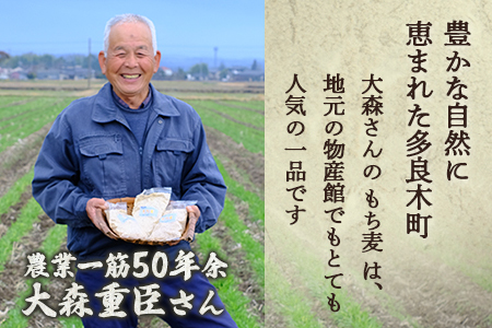 【 熊本県産 もち麦 】3kg(500g×6袋) 白米 と 炊くだけ！【 もちもち もちむぎ 麦 もち麦 ヘルシー 食感 ぷちぷち 食物繊維 炊飯 健康 高栄養 ポリフェノール  熊本県 多良木町産 】065-0589