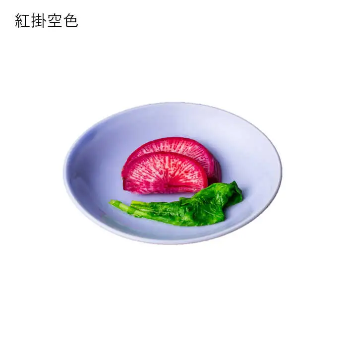 【波佐見焼】料理を引き立たせる 小皿 14色セット 食器 皿 【DRESS】 [SD32] 波佐見焼