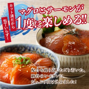 ビンチョウ まぐろ ＆ サーモン 漬け 2種盛り 10パック (a10-697)