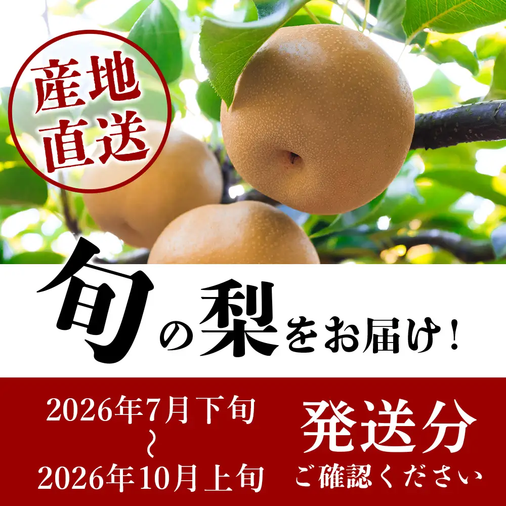 【7月下旬～10月発送】東光寺 梨 4kg (8～15玉) 1箱 025-0572