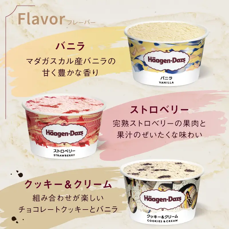 ハーゲンダッツ アソート×バー3本 アイス アイスクリーム_H0026-100
