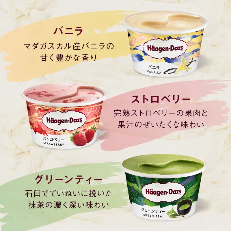 ハーゲンダッツ アイスクリーム バラエティセット アイス_H0026-102