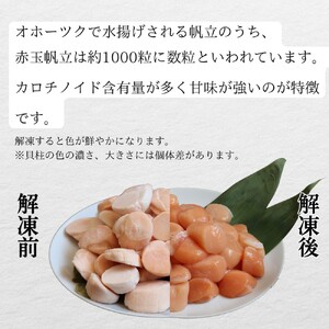 63-17 【希少】お刺身用 赤帆立800g×2セット　｜北海道産　グルメ　海鮮丼