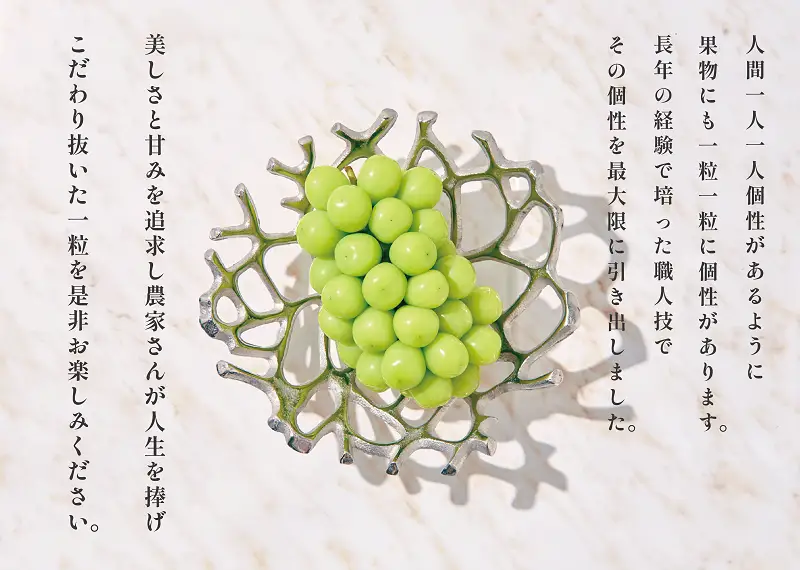 甲州市産 大粒シャインマスカット3房入り 約2kg 自然農法【2026年発送】（BNC）F-101 シャインマスカット フルーツ