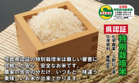 【定期便】令和8年産 (12ヶ月連続お届け) お米定期便 北川農産の米（3kg x 12回）Q114-002