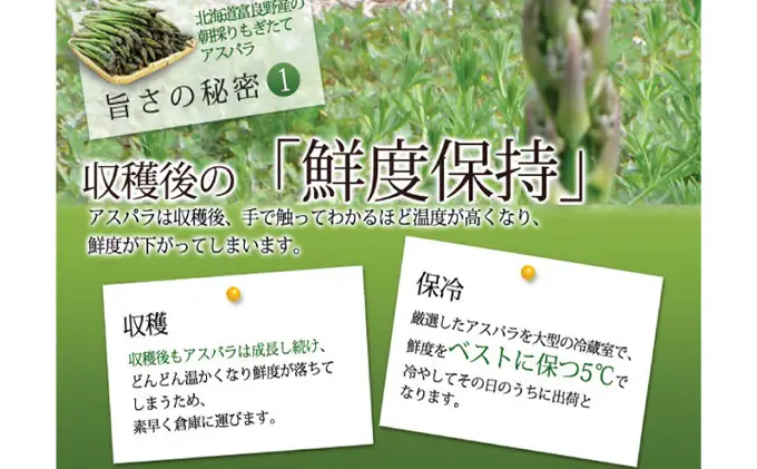【2027年春発送】ふらの産☆生で食べれる アスパラ【1kg】50本前後 サイズ混合 野菜 アスパラガス 大容量