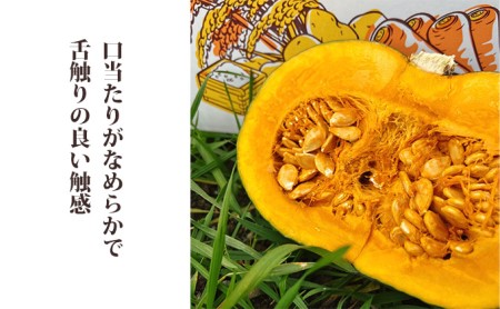 かぼちゃ 富良野産 くりゆたか カボチャ 山本農園 かぼちゃ【10kg】