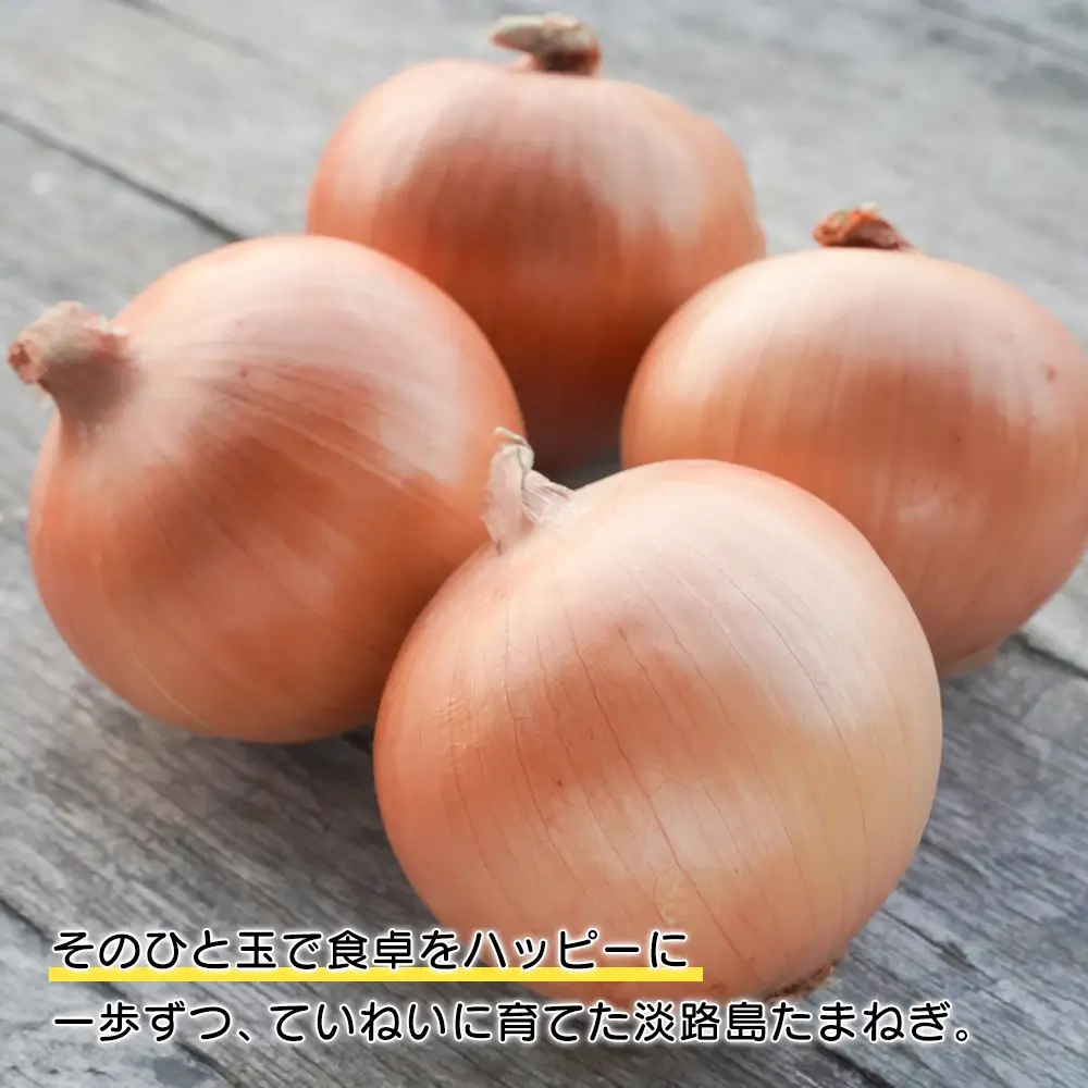 淡路島玉ねぎ 歩-AYUMU- 5kg　玉ねぎ
