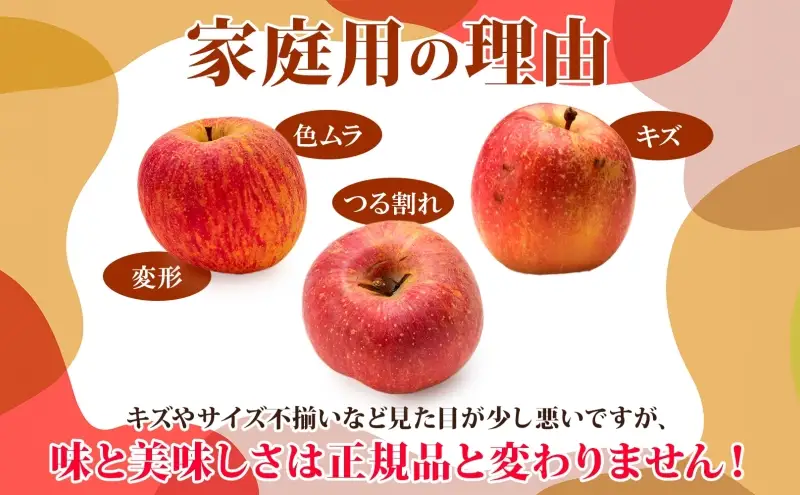 りんご詰合せ サンふじ王林 青森県産 家庭用 りんご詰合せ【約10kg】【3月発送】
