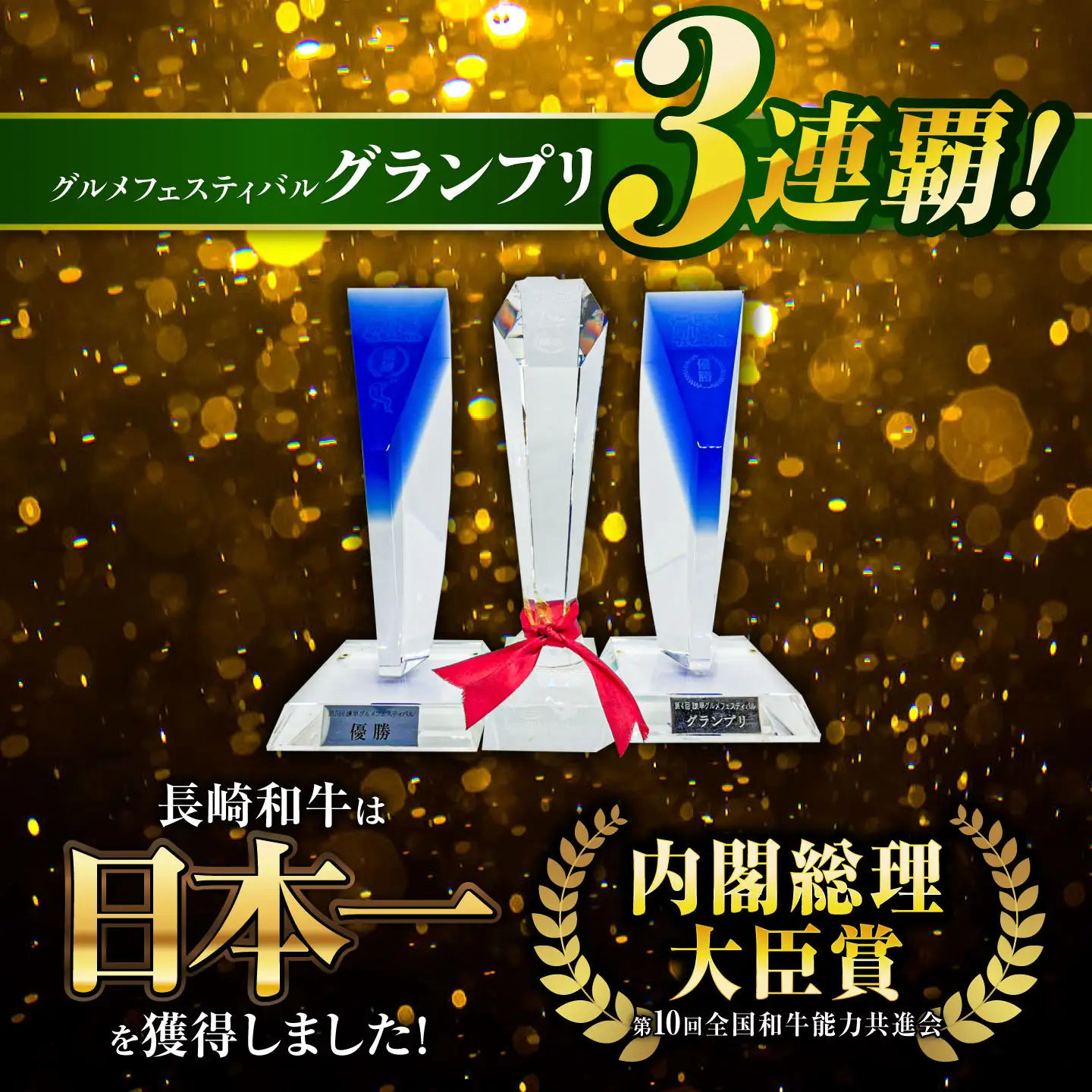 A5 ヒレステーキ 300g AHCW004 ヒレ