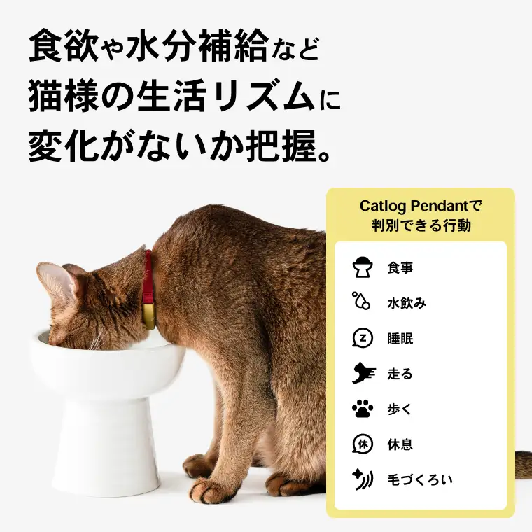 K2122 【1猫様用】Catlog 基本セット
