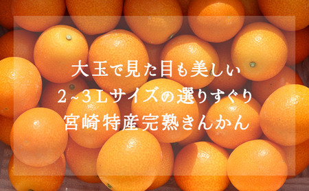＜先行予約＞【プレミアム】選りすぐりの大玉完熟きんかん１kg_K034-001