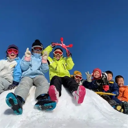 〈峰山高原リゾートホワイトピーク〉　スキー場1日リフト券　1枚【1029970】