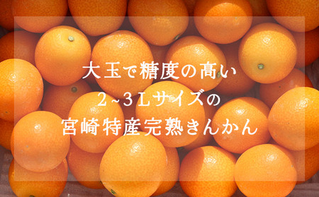 ＜先行予約＞産地直送 冷凍完熟きんかん 800g_K034-003