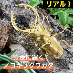 【置物】純金 ゴールド 24金 鋸鍬形（ノコギリクワガタ） ALPBK098 | 純金