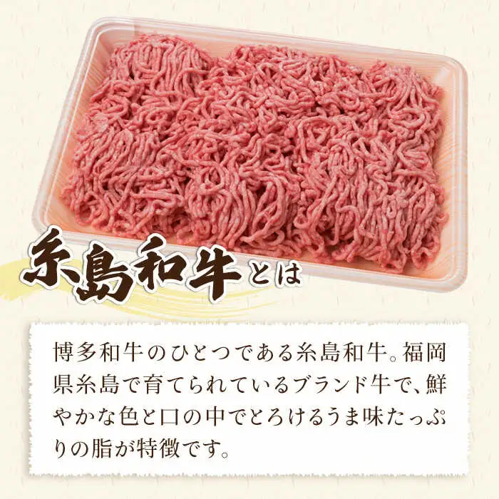 【全6回定期便】糸島和牛 糸島豚 合挽ミンチ 500g×2p×6回 計6kg 糸島ミートデリ工房 [ACA258]