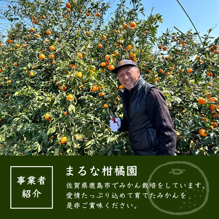  無添加100％南津海（なつみ）ジュース（200ｍｌ×10本） B-123