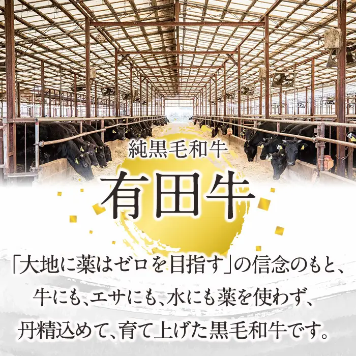 宮崎黒毛和牛焼肉セット(ロース・カルビ各300g)【AR005】【(有)有田牧畜産業 食肉加工センター】