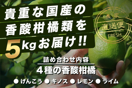  香酸柑橘類詰め合わせ 約５ｋｇ（リスボンレモン・キノス・げんこう・レモン） B-366
