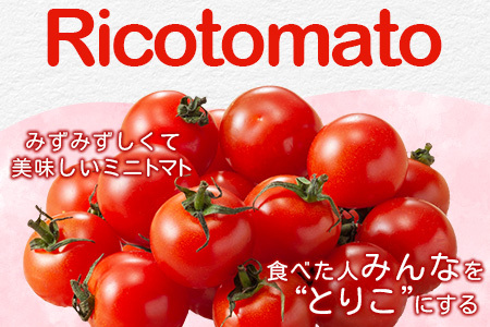 【3回定期便】【先行受付】2027年1月より順次発送予定|完熟ミニトマト 1kg｜ミニトマト トマト プチトマト 農家直送 ギフト 人気 佐賀県鹿島市 たにぐちファーム Ricotomato（リコトマト）～とりこになるトマト～  E-68