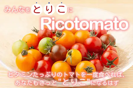 【4回定期便】【先行受付】2027年1月より順次発送 カラフルミニトマト6種 1kg ミニトマト プチトマト 定期便 農家直送 たにぐちファーム Ricotomato～とりこになるトマト～ F-25