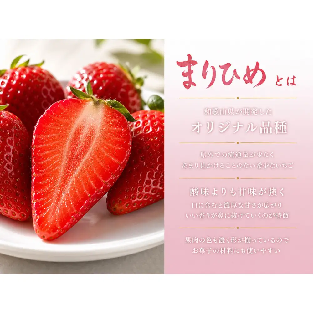 紀州和歌山ブランドいちご「まりひめ」約250g×4P ［2027年3月上旬頃～3月下旬頃に順次発送］［UT39］