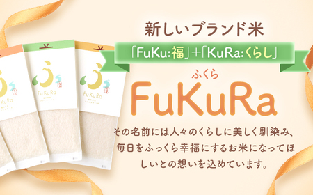 【令和7年産】『FuKuRa』無洗米真空パックこしひかり1合・5パック×3箱 小浜市 / シマダ農園 [BFAV007]