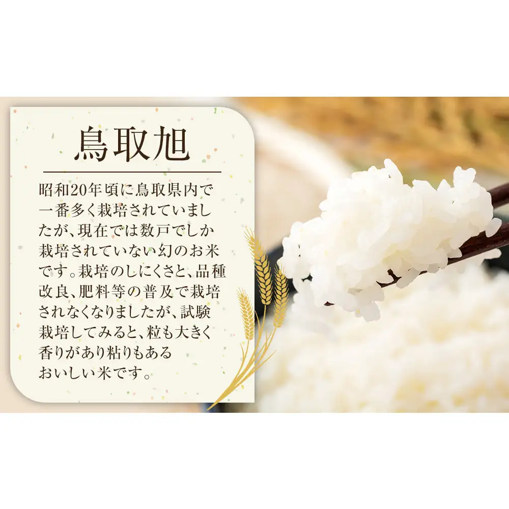 203.日置さん家のお 米 「 鳥取 旭 」5kg×2袋【 無洗米 ・2026年産】 | 無洗米