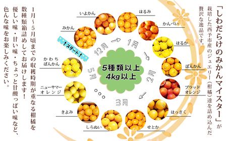 愛媛県明浜産 ジュエリーボックス（柑橘編）4kg【１月配送】 ATI0026_01