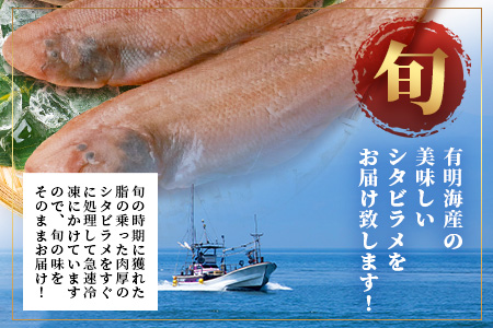 【下処理済で簡単調理】有明海産 シタビラメ約150g×2尾【合計約300g】煮つけ・唐揚げにおススメ【脂ののって美味しい】鮮度抜群 A-154