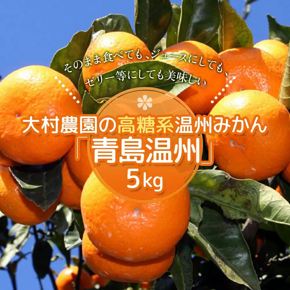 【先行予約】大村農園 温州みかん 5kg | みかん 津久見市