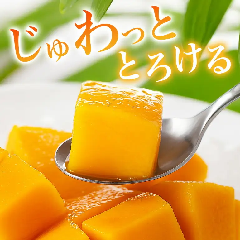 【 先行予約 2026年 発送 】 かねよしマンゴーの甘くとろける マンゴー 1.5kg ( 贈答用 ) 沖縄県産 アップルマンゴー アーウィンマンゴー 国産 果物 くだもの フルーツ 完熟 沖縄 お取り寄せ ギフト 贈答品 贈り物 産地直送 農家直送 糸満市 93-4
