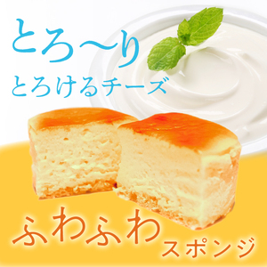 はんなまチーズ 1箱(8個入り)｜デザート スイーツ チーズ はんなま はんなまチーズ  人気 送料無料 茨城県 行方市(H-22-1)