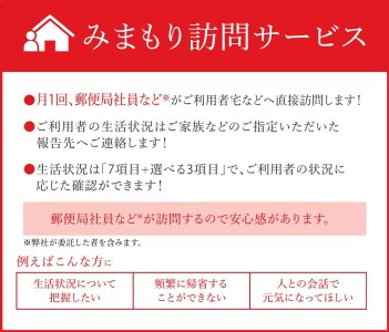 みまもり訪問サービス（12か月） CZ03