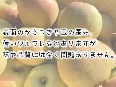 りんご きみと 訳あり ヒバリノ園 青森県産 りんご【約5kg 10〜16玉】