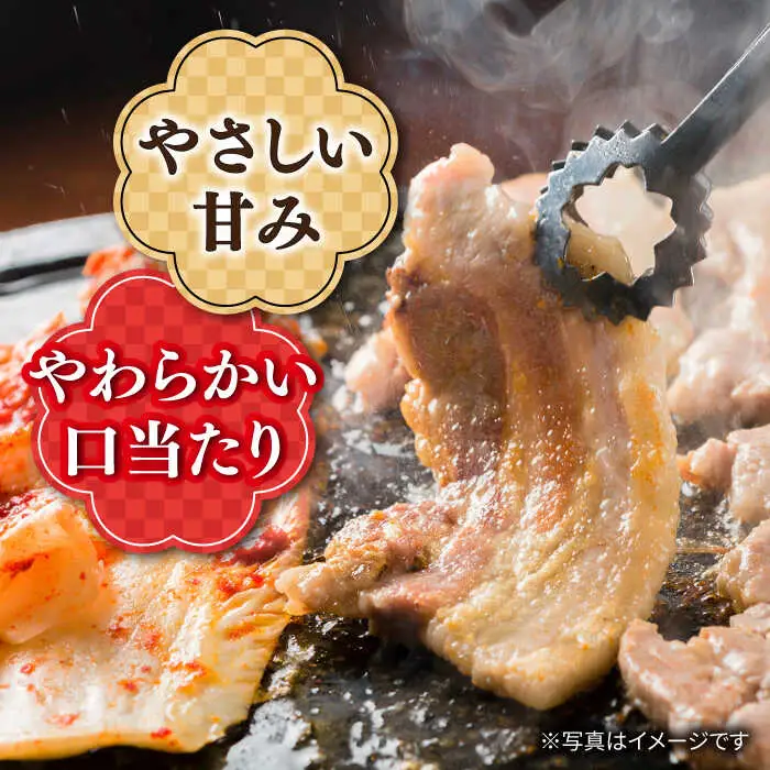 12回定期便 国産豚 バラ焼肉 700g 訳あり CAG022 焼肉