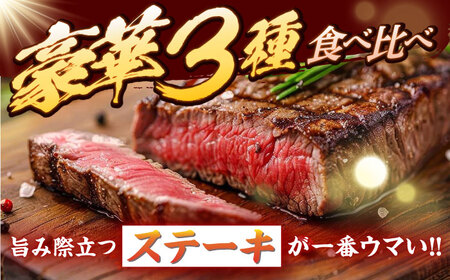 6回定期便 長崎和牛 ステーキ 食べ比べ CAG240 ステーキ