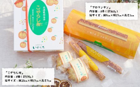 【お盆中も配送】こやらし柑＆フロランタン 各8個 CAM019 スイーツ お菓子 ギフト