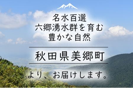 ブルーベリー 1kg (500g×2) 美郷町あったか山直売所