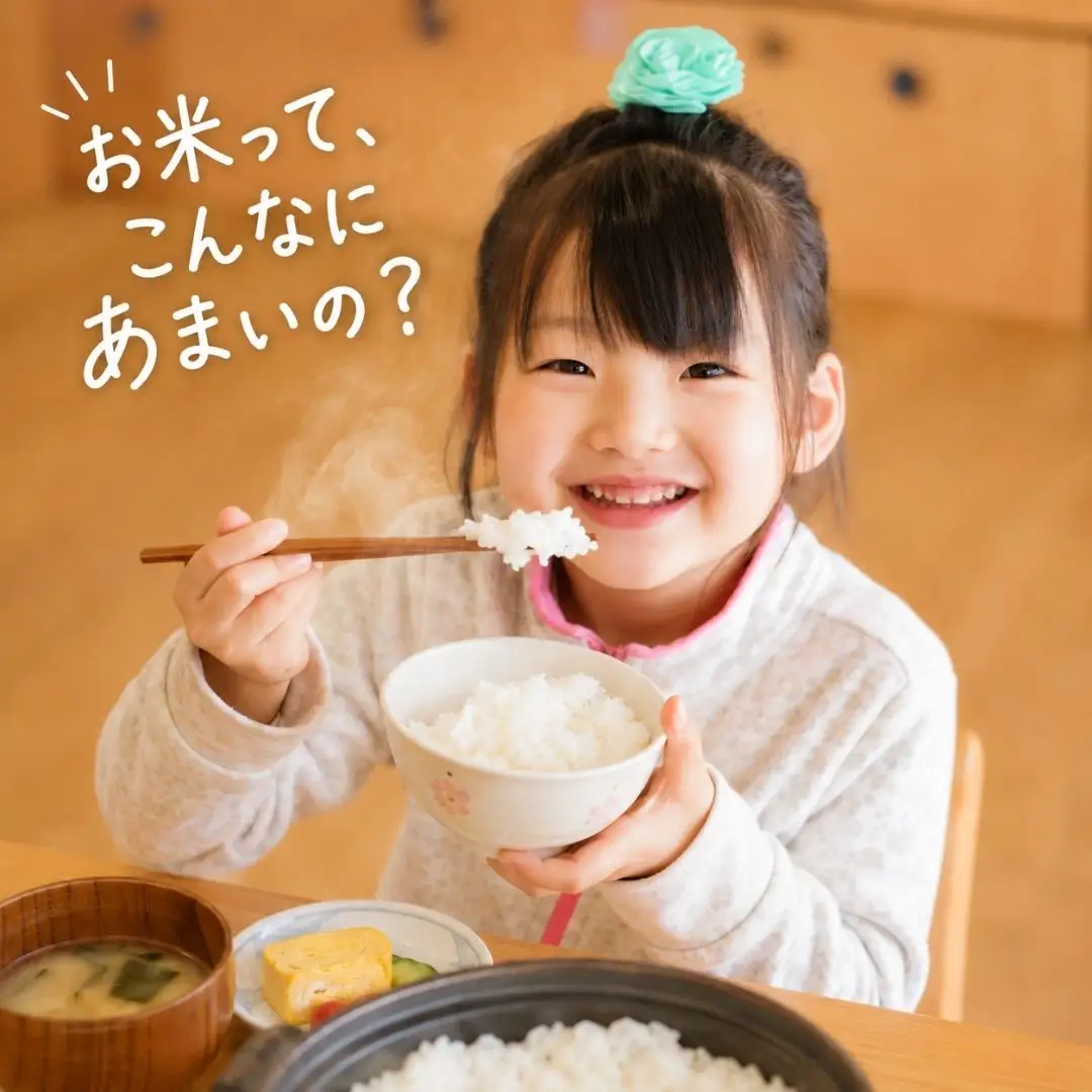 先行予約 特別栽培米 ミルキークイーン 5分搗き 10kg 新潟県産 令和8年 [佐藤農産有機センター]【018S020】