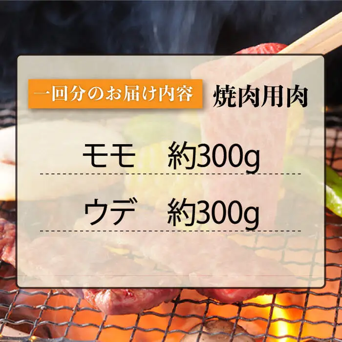 【12回定期便】長崎和牛 赤身 焼肉（モモ・ウデ）食べ比べ ＜株式会社 黒牛＞ [CBA117]