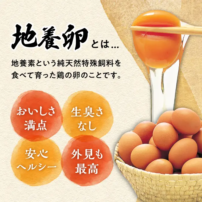 12回定期便 卵 Lサイズ 40個 | CBB004 卵