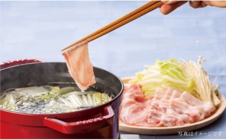 大西海SPF豚 背ロース2種 計1.2kg 訳あり ＜大西海ファーム＞CCY006 豚肉