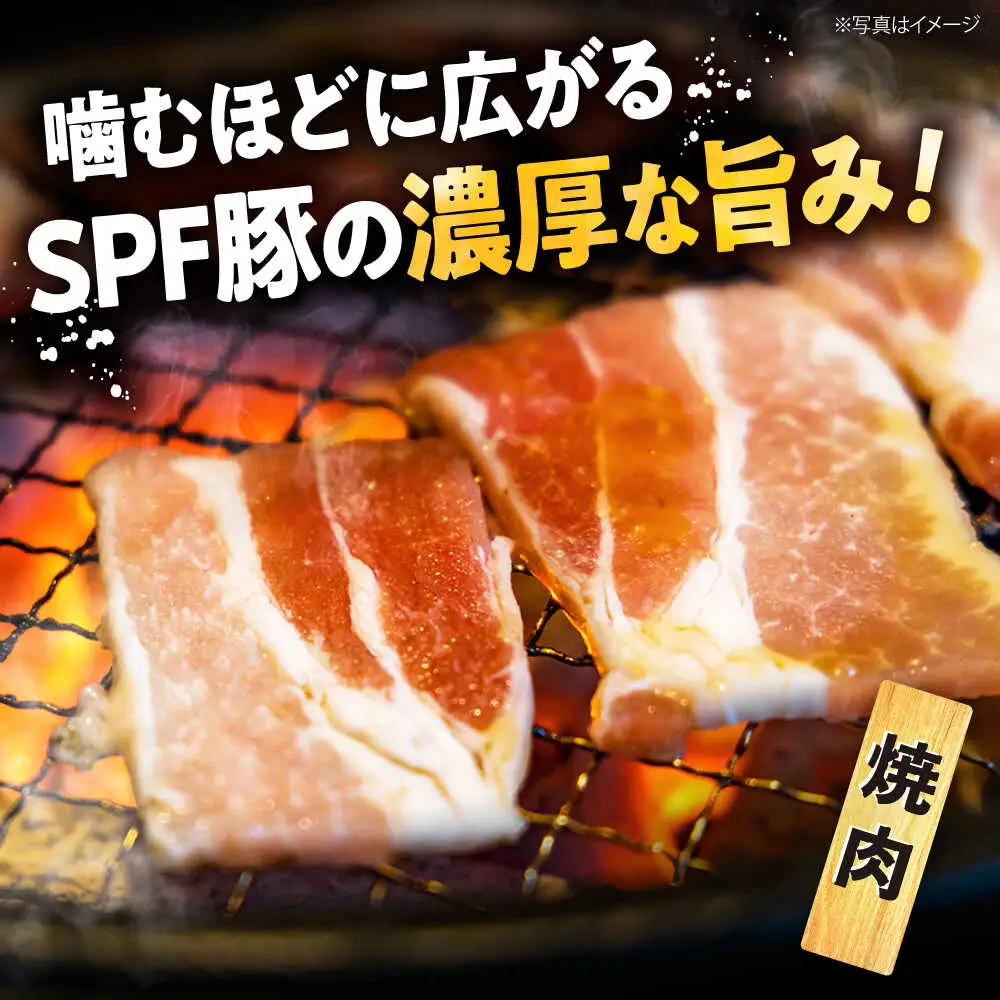 SPF豚 国産豚 2種 計1.2kg 焼肉 しゃぶしゃぶ [CEK034] 国産豚 しゃぶしゃぶ 訳あり