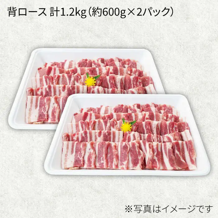 大西海SPF豚 背ロース 焼肉 計1.2kg 訳あり ＜大西海ファーム＞CEK038 焼肉
