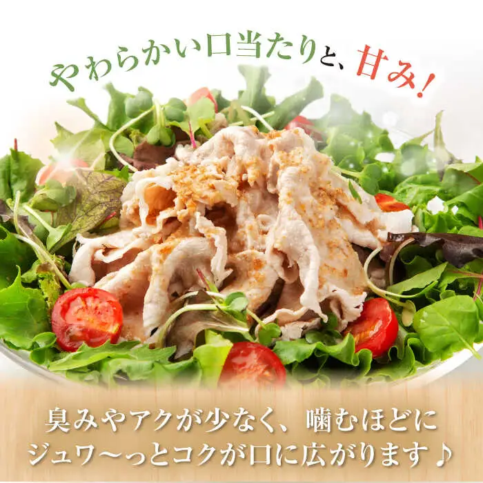 6回定期便 大西海SPF豚 こま切れ 計1.8kg 訳あり ＜大西海ファーム＞ [CEK041] こま切れ