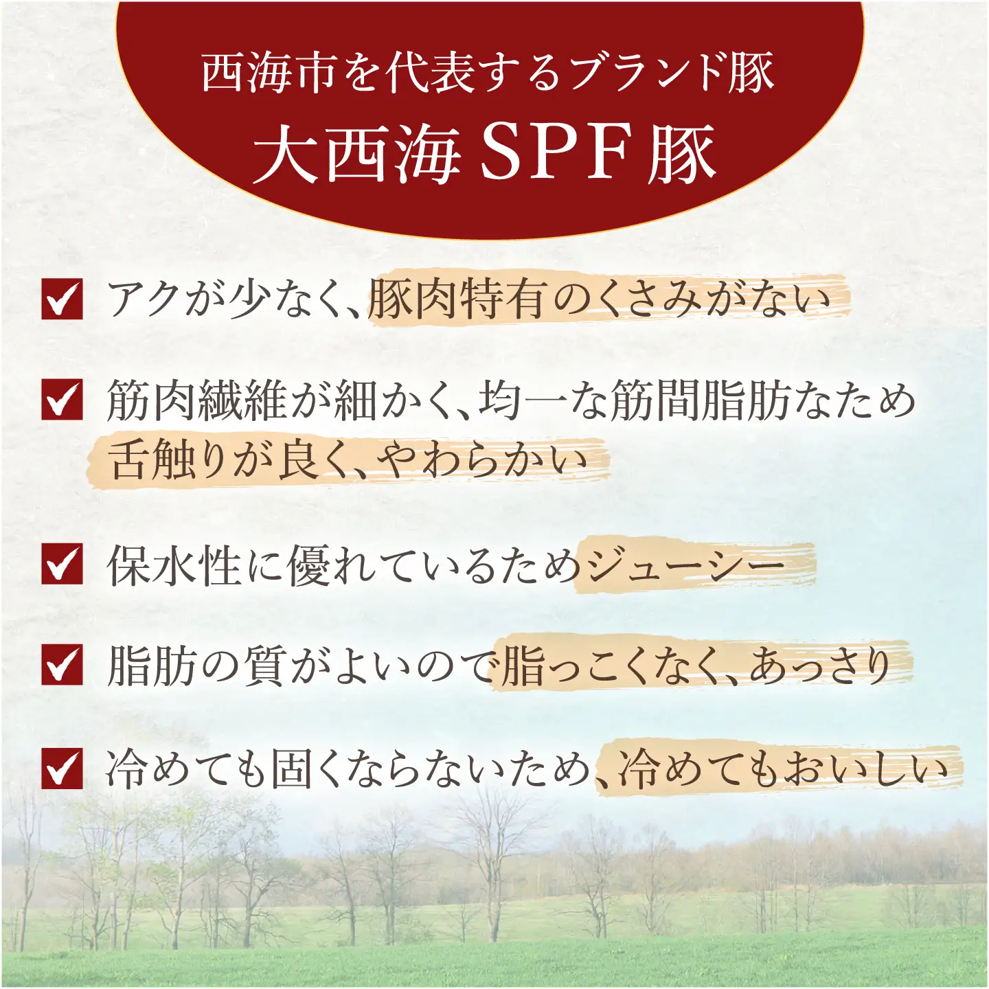 3回定期便 大西海SPF豚 背ロースブロック 計1.3kg 訳あり ＜大西海ファーム＞ [CEK074]